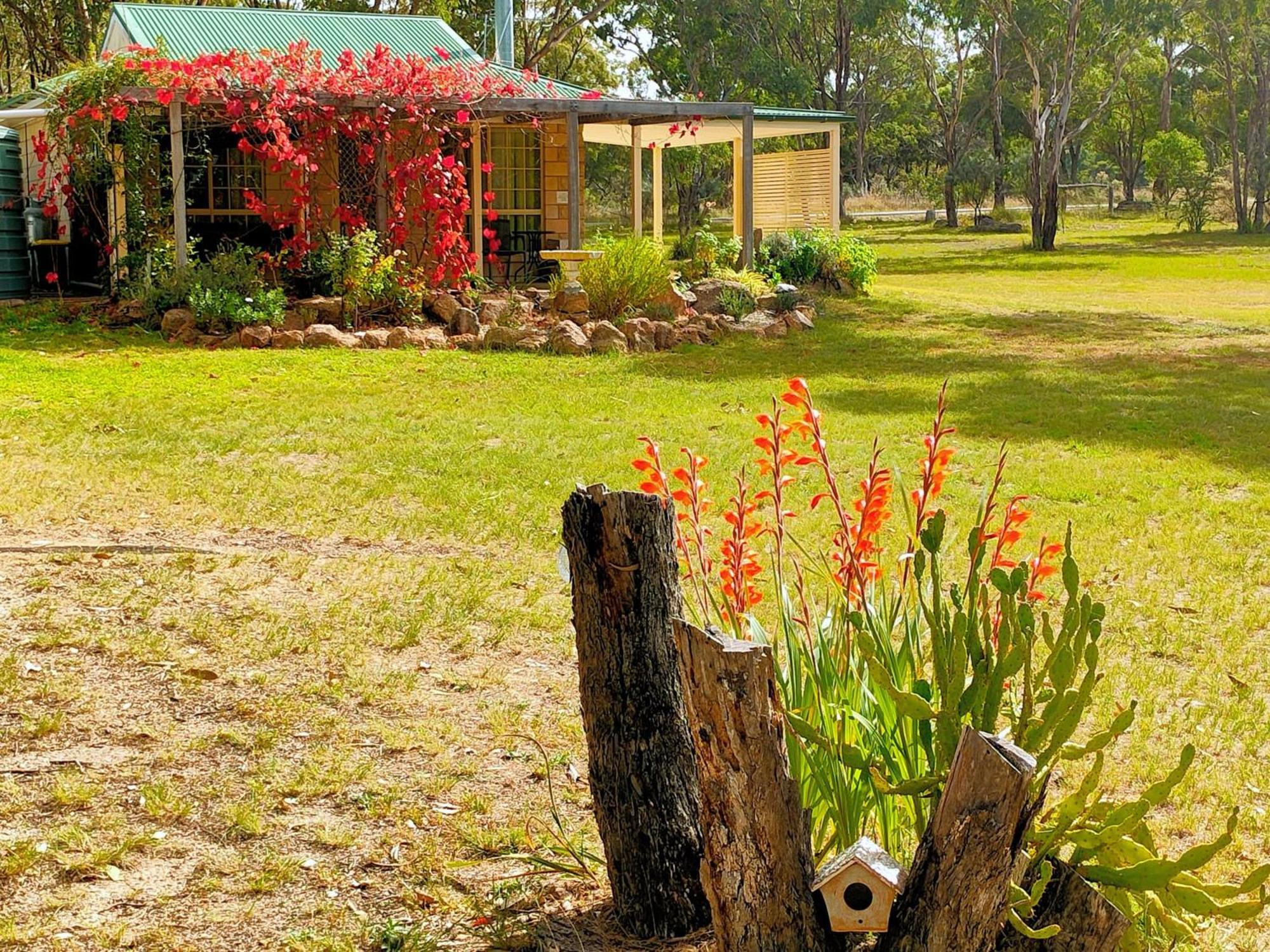 Severn River Cottages Severnlea المظهر الخارجي الصورة