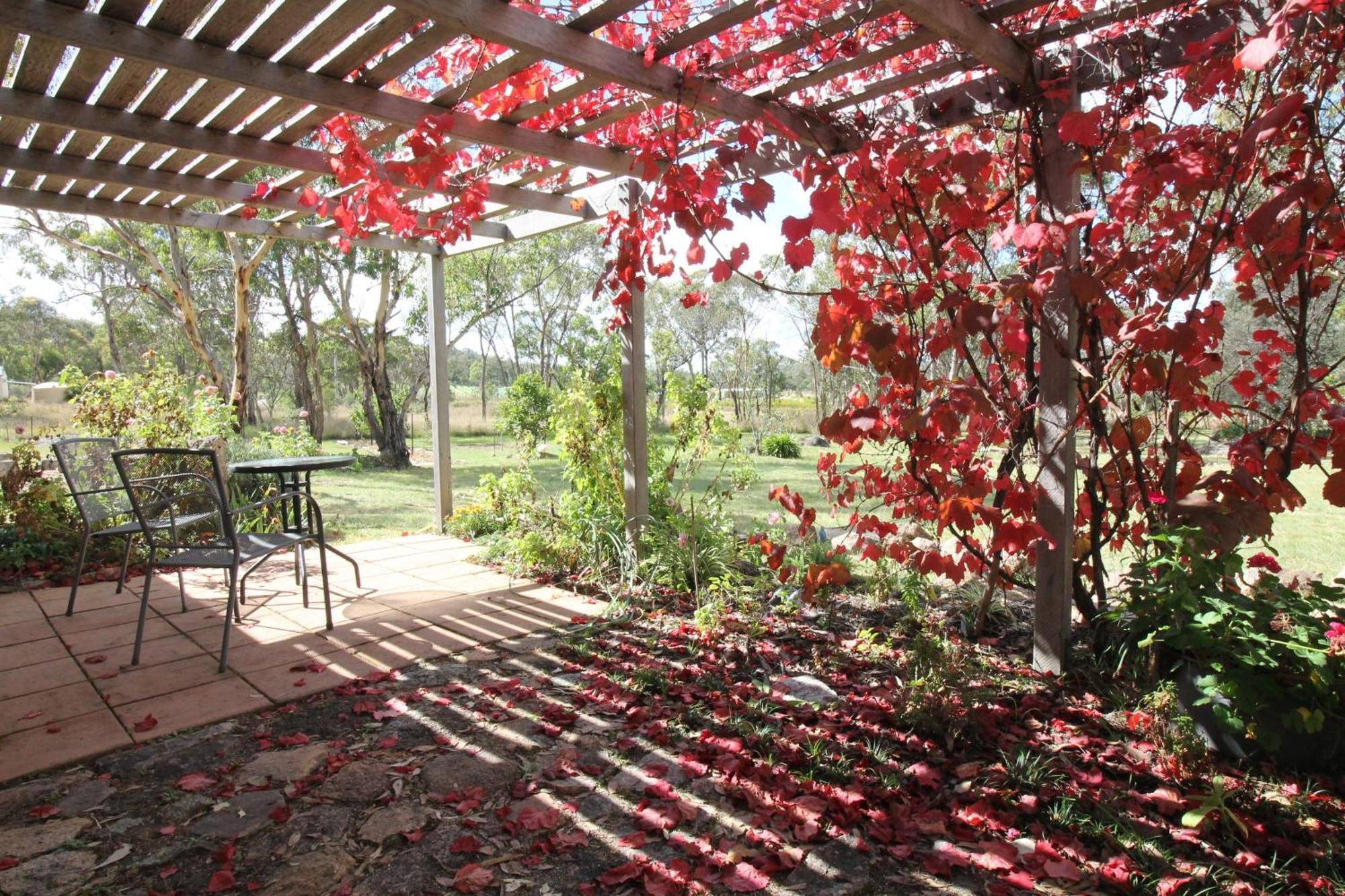 Severn River Cottages Severnlea المظهر الخارجي الصورة